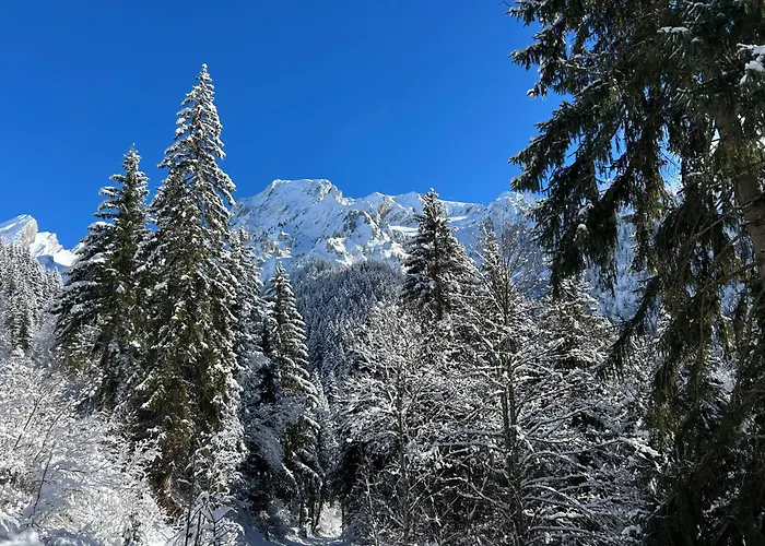 Le Leïla